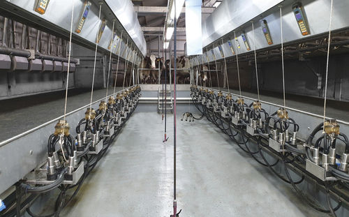 Melkstand für Kühe - STREAMWAY 90 - Boumatic Robotics B.V. - parallel / schneller Ausgang / mit Nahrungsspender