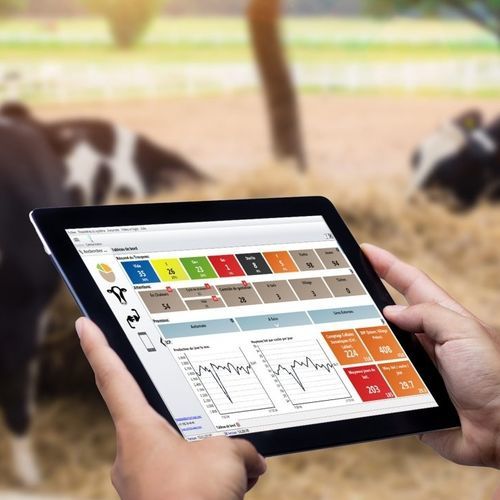 Management-Software - HERDMETRIX - Boumatic Robotics B.V. - Landwirtschaft / für Herdenmanagement / Echtzeit