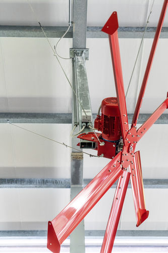 Ventilator für Aufzuchtgebäude - AGRICOW - Luftumwälz / wandmontiert / deckenmontiert