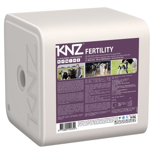 Leckstein für Rinder - FERTILITY - Hengelo Salt Specialties B.V. (KNZ®) - für Ziegen / Spurenelemente / Salz