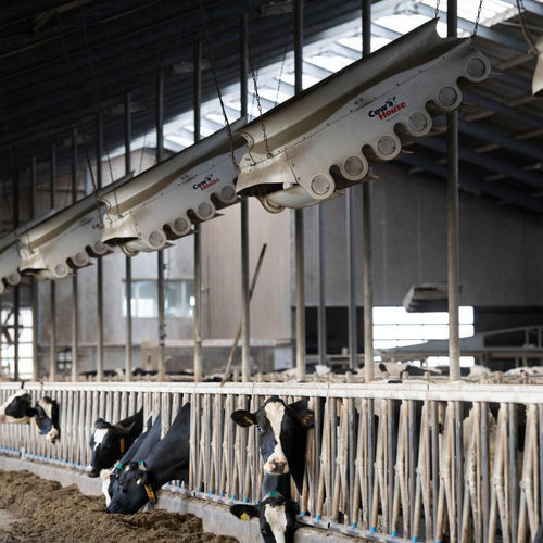 Ventilator für Landwirtschaftsgebäude - Windforce  - Cowhouse International bv - Zirkulation / deckenmontiert / helicoidal