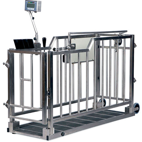 Waage für Kälber - Förster-Technik GmbH - elektronisch / batteriebetrieben / mobil