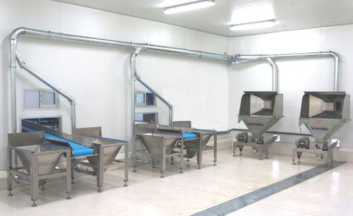 Küken-Förderer - Innovatec Hatchery Automation - Band