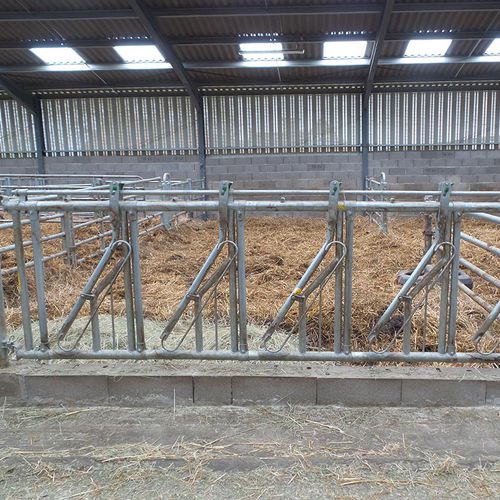 Fressgitter für Kühe - PA0383 - JOURDAIN - Rohrstruktur / regelbar