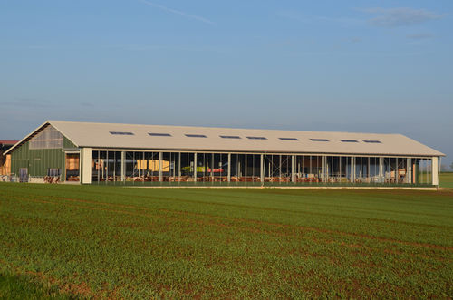 Stallung für Kälber - Modulstall GmbH - Milchvieh