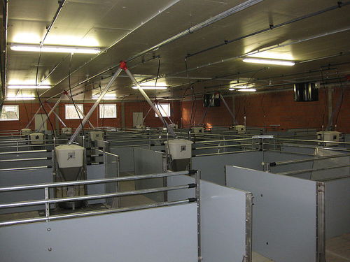 Mastkäfig mit Tränke - SCHULZ Systemtechnik GmbH