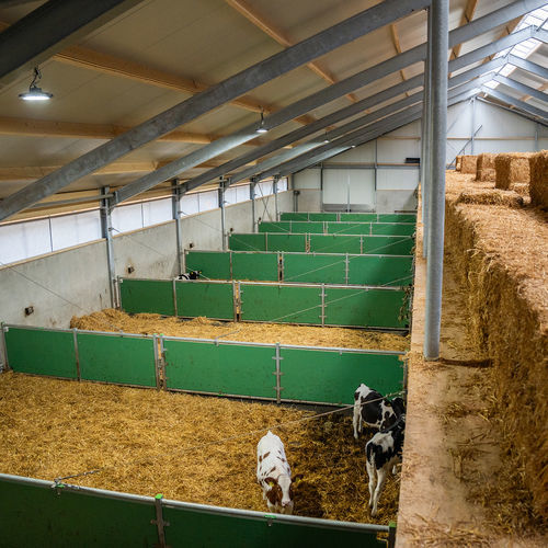 Trennwand für Zuchtzwecke - partition barriers with panels - Spinder Dairy Housing Concepts - für Rinder / Kunststoff / Metall