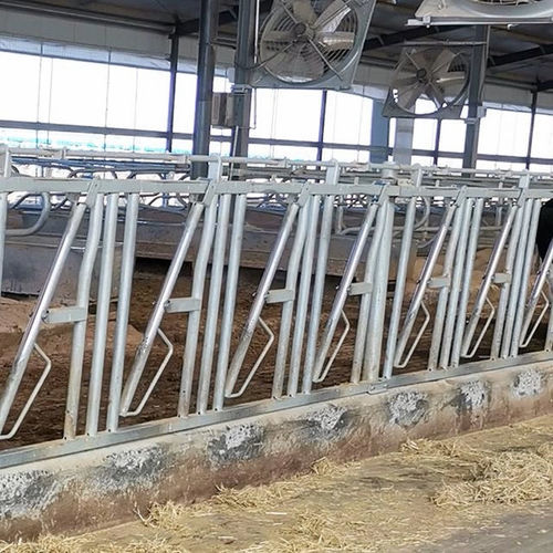 Fressgitter für Kühe - Tai'an Yimeite Machinery Co., Ltd. - selbstblockierend / Rohrstruktur