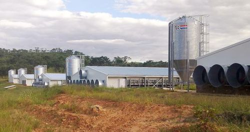 Silo für Tiernahrung - VDL AGROTECH B.V. - galvanisiertem Stahl / mit konischem Boden / modular