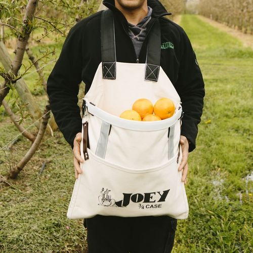 Erntesack - 04 - Joey Fruit Picking Bags