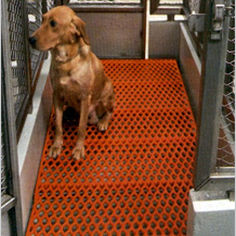 Metall-Gitterrost - Dek-Cellent™ - Tandem Products, Inc./Tenderfoot Div. - für Landwirtschaftgebäude / antibakteriell / nicht absorbierend