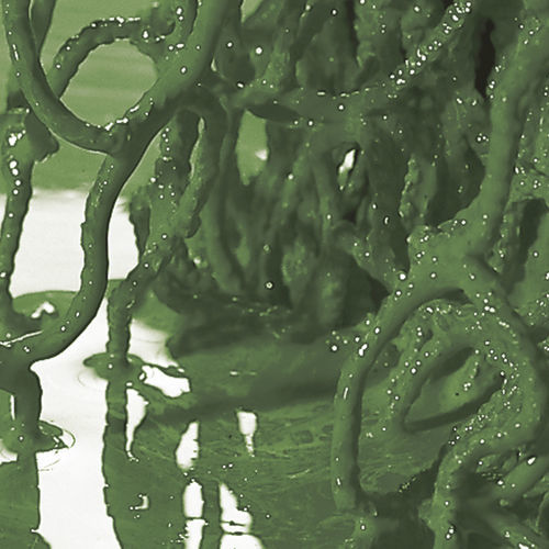 Aquakulturnetz für Beckentrennung - Mørenot Aquaculture AS - Nylon / Antifouling / biozidfreies