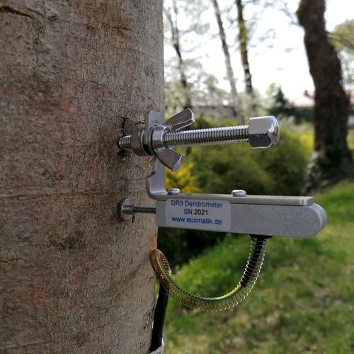 Dendrometer für Stäbe - DR series - Ecomatik - Baum / mit Datenlogger