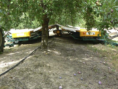 Pflaumenbaumschüttler - M02 - Somaref - gezogen / hydraulisch / mit Auffangbehälter