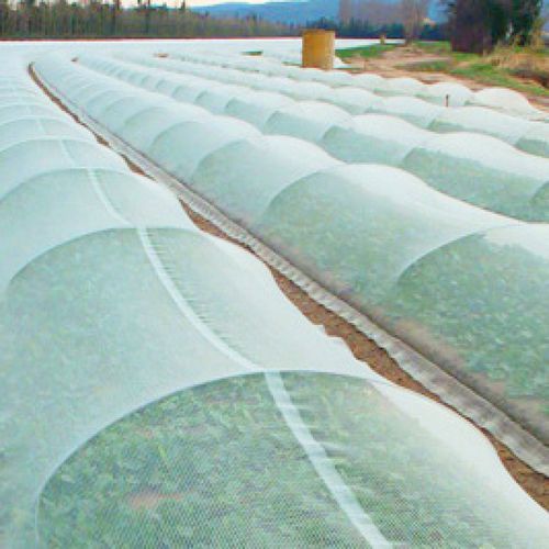 Hagelschutznetz - Emis France - Windschutz / für Anbau
