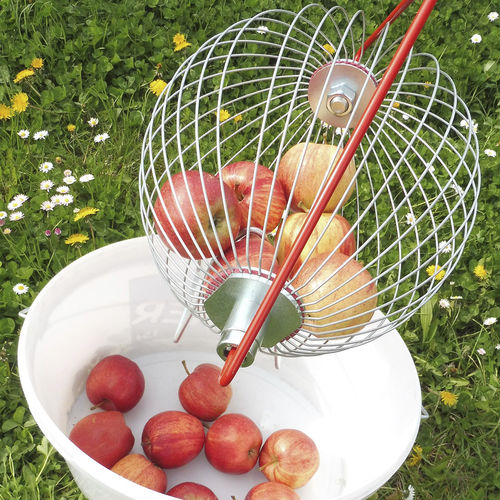 Trommel-Obstpflücker - LARGE - FEUCHT Obsttechnik GmbH - Schalenfrucht