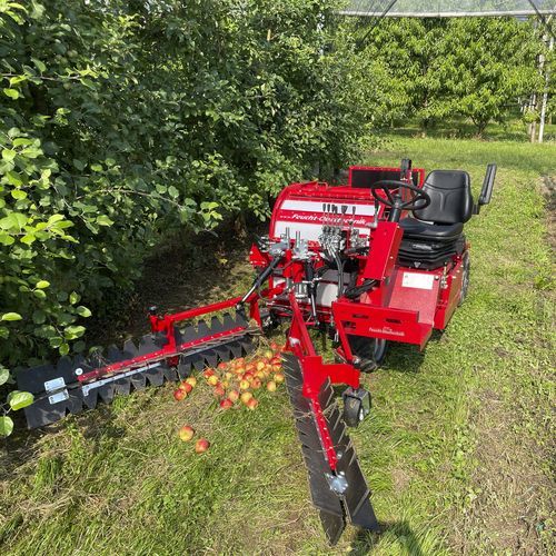Haselnuss-Auflesemaschine - OB 80 R - FEUCHT Obsttechnik GmbH - Walnuss / Mandel / Apfel