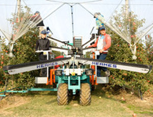 Apfelauflesemaschine - Tecnofruit CF-110 - Hermes - mit Eigenantrieb