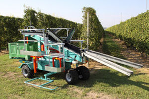 Obstauflesemaschine - Tecnofruit CF-105 - Hermes - mit Eigenantrieb / 1 Reihe