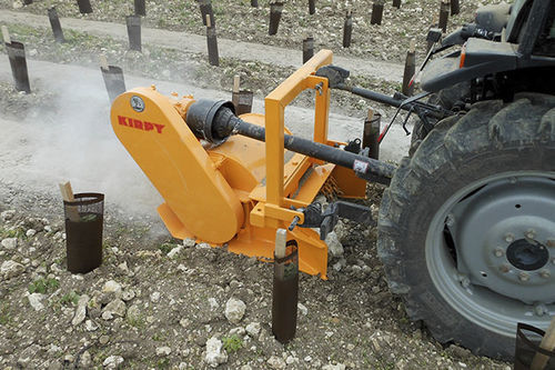 Steinbrecher für Weinbau - BP 80 BPE 50/10 - 80 - KIRPY