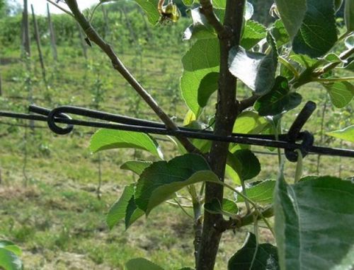 Kunststoff-Spalierleiste - ATV200 - Prenas Plastique