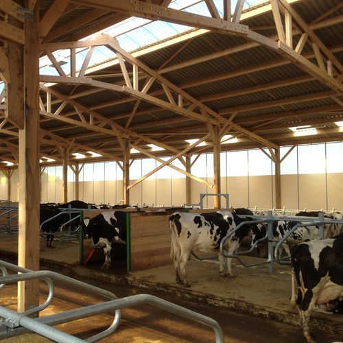 Windschutz-Curtain - Aubrac  - RCY - seitlich / motorisiert