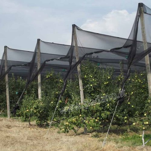 Hagelschutznetz - Retificio Padano srl - Polyethylen / für Obstbau