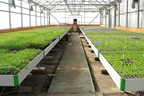Kulturtisch für Gartenbau - Ulma