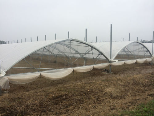 Tunnel-Gewächshaus - MGVS - Barre - Kunststoff