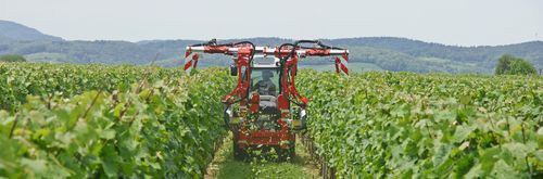 Entlaubungsmaschine mit Rolle - Binger Seilzug - traktormontiert / doppelt