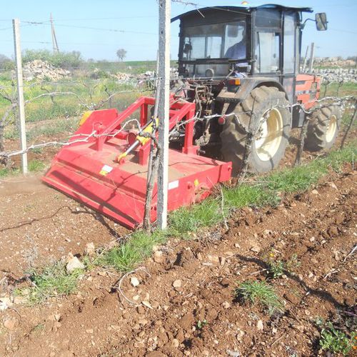 Angebautes horizontales Mulchgerät - TRX - Crushing Tech srl - Hammer / für Forstwirtschaft / für Obstgärten