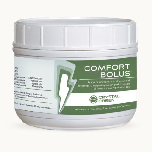 Bolus / der Ernährung - COMFORT BOLUS™ - Crystal Creek, Inc. - für Rinder / Vitamin