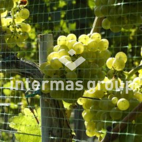 Vogelabwehrnetz - EASYNET Series - INTERMAS - Polyethylen / für Obstbau