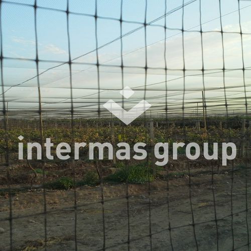 Vogelabwehrnetz - DIFENGREEN Series - INTERMAS - Polyethylen / für Obstbau