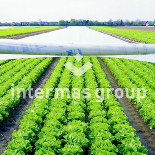 Schutzhülle für Gewächshaus - PROTECTERM Series - INTERMAS - mit UV-Filter