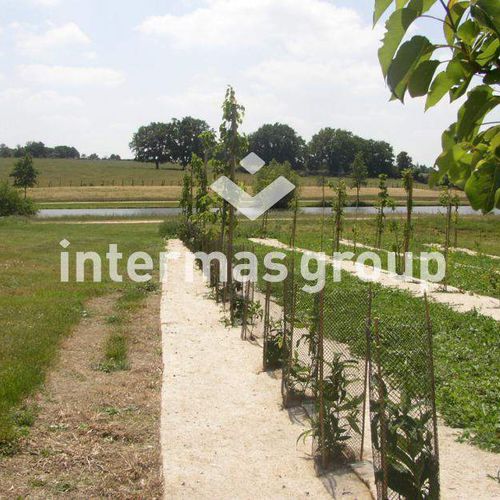Folie zur Strohabdeckung - PAILLAGE JUTE - INTERMAS - biologisch abbaubar