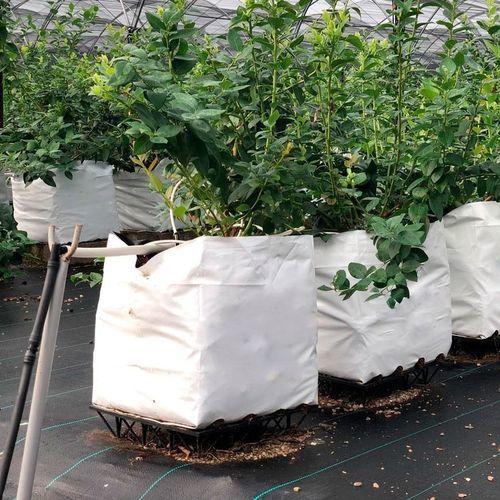 kleinformatiges substratloses Anbausystem - HYDROPONIC SYSTEMS INTERNATIONAL