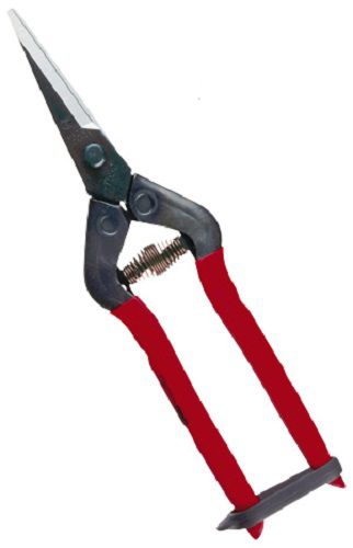 Obst-Ernteschere - T-5 series - CHIKAMASA Co., LTD.