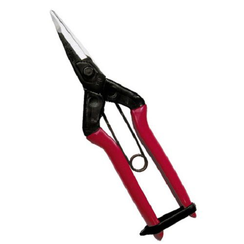Obst-Ernteschere - T-60 - CHIKAMASA Co., LTD. - Gemüse
