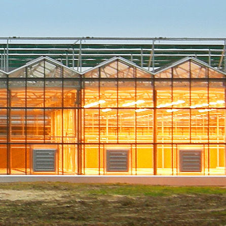 Mehrschiffiges Gewächshaus - Pioneer - Kräss GlasCon GmbH - experimental / Glas / mit Stahlstruktur
