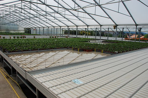 Kulturtisch für Gartenbau / Gezeitentisch - MH Metallprofil GmbH