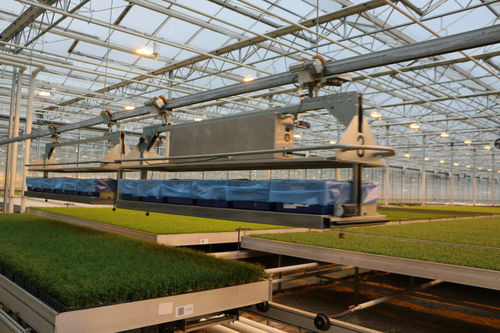 Halbautomatisches Handlingsystem für den Gartenbau - Monorail - Visser Horti Systems - automatisch / Topf / für Pflanztrays