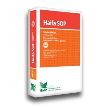 Mineralischer Dünger - SOP™ - Haifa North West Europe - K / Granulat / zur Bodenaufbringung