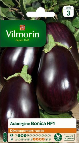 Früher Auberginensamen - Bonica HF1 - Vilmorin Jardin (Vilmorin Garden/ VDB) - hybrid