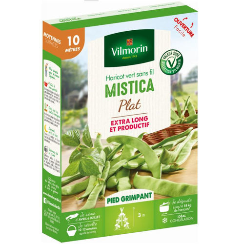 Frühe Bohnensaat - Mistica  - Vilmorin Jardin (Vilmorin Garden/ VDB) - Berankung