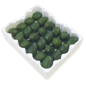 Gemüsekiste - Beaver Plastics Ltd - Obst / EPS