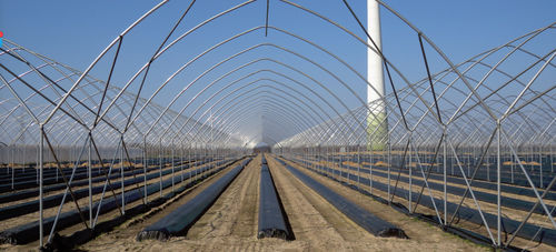 Mehrschiffiges Gewächshaus - Pioneer - Haygrove Tunnels - dekorativ / Kunststoff / mit Rinne