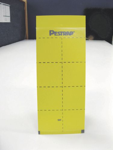 Falle für Insekten - Pestrap™ Medium - Phytotronics Inc - Klebe