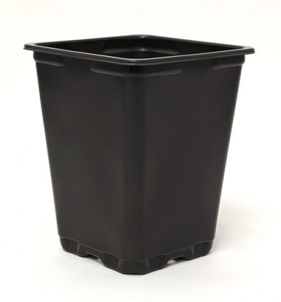 Kunststoff-Pflanztopf - 2 Quart - Summit Plastic Company - quadratisch / schwarz