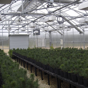 Kulturtisch für Gartenbau - Winandy Greenhouse Company Inc
